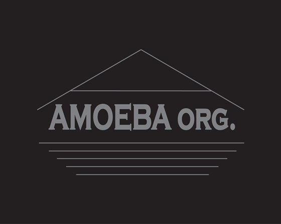 Amoeba1: My design